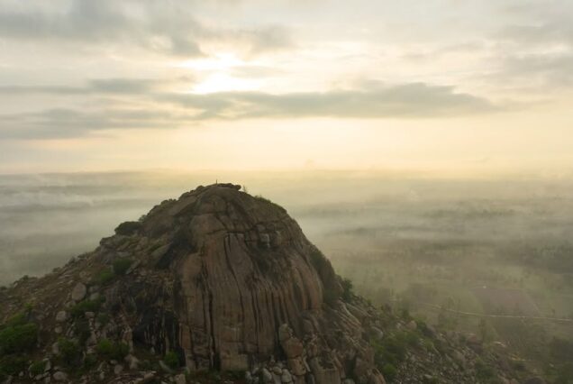 kunti betta sunrise