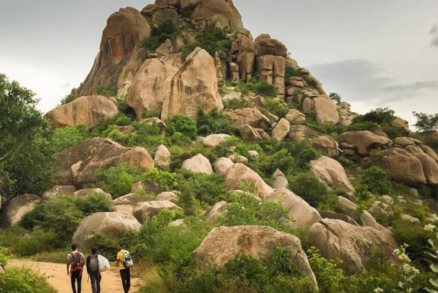 kunti betta trek