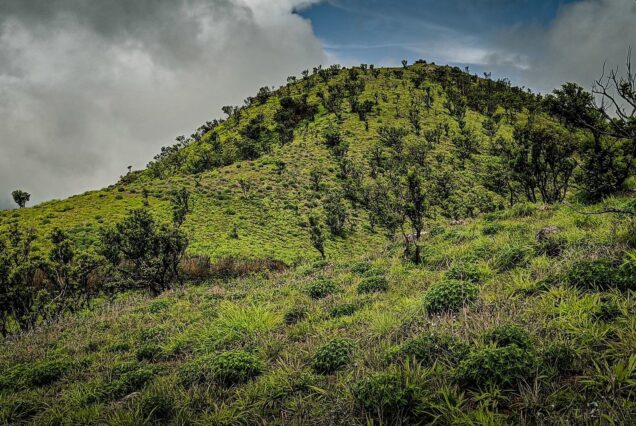 Scenic ridge at Manja Motte with mist-covered hills