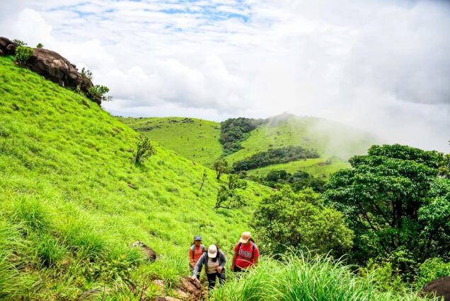 Early morning trek on Tadiandamol Hill