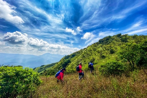Dense forest trail at Makkat Motte