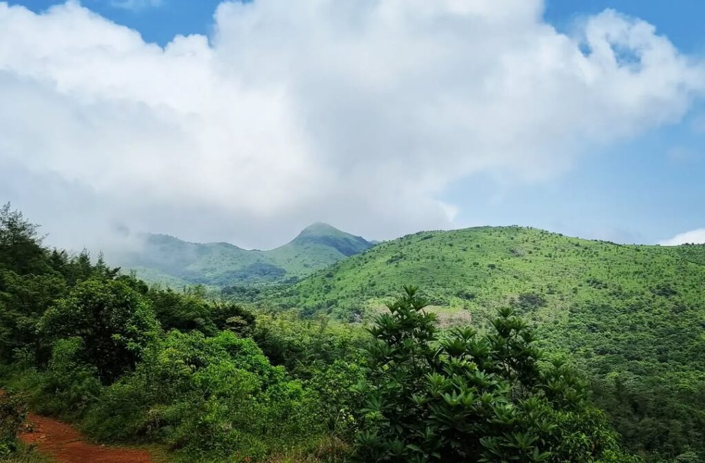 Tadiandamol Trek – Coorg