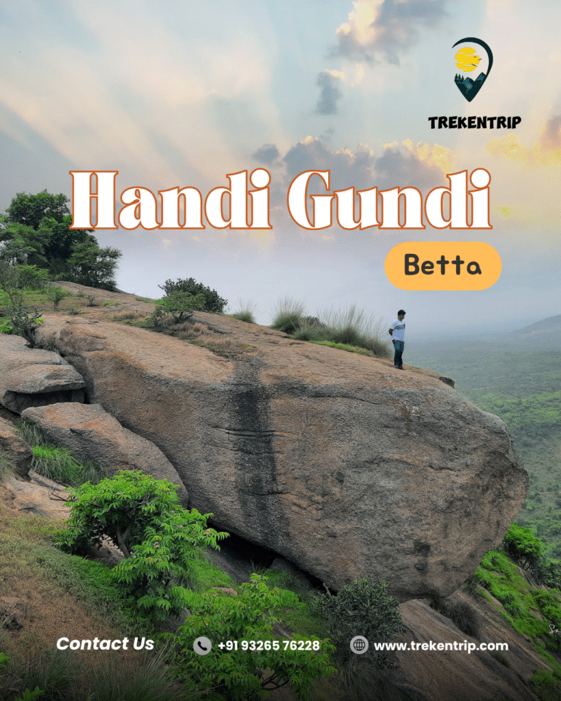 Handi gundi