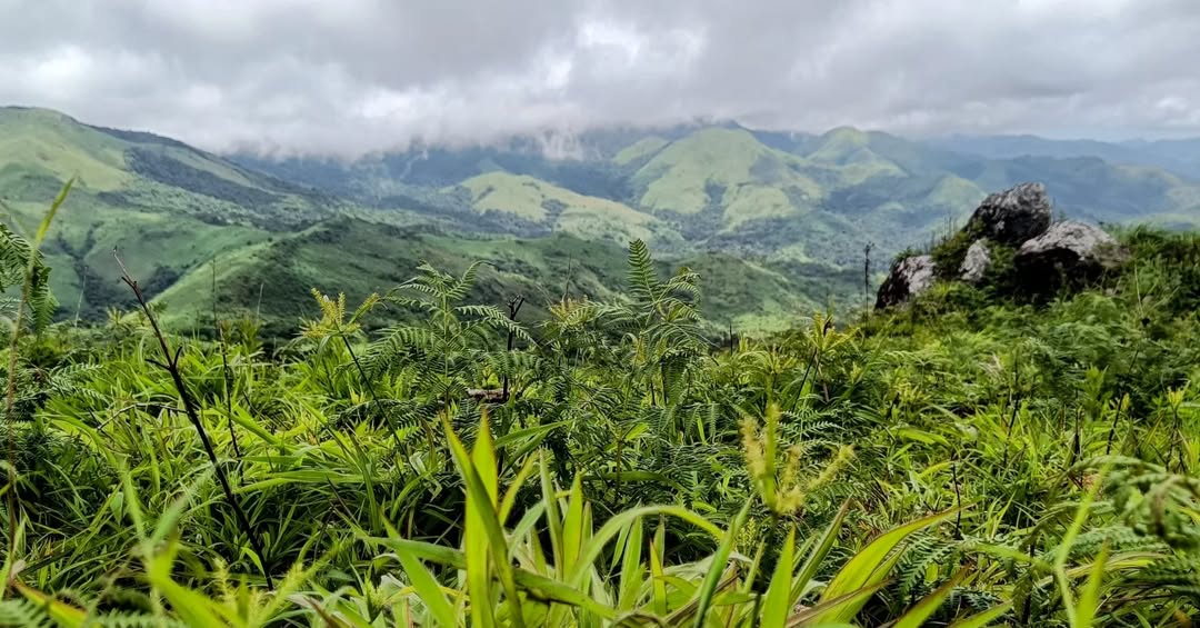 manju motte