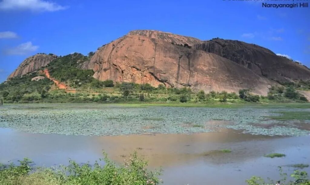 narayanagiri hill