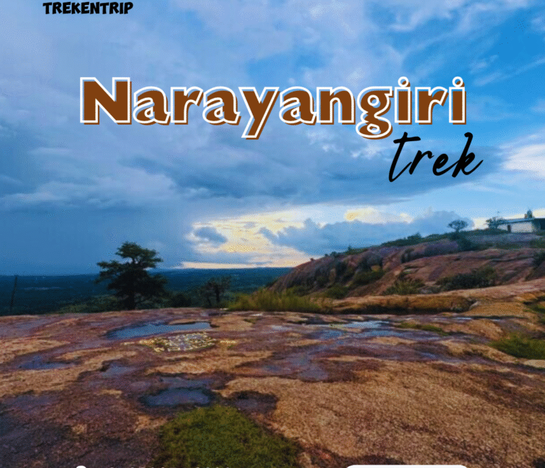 Narayangiri trek