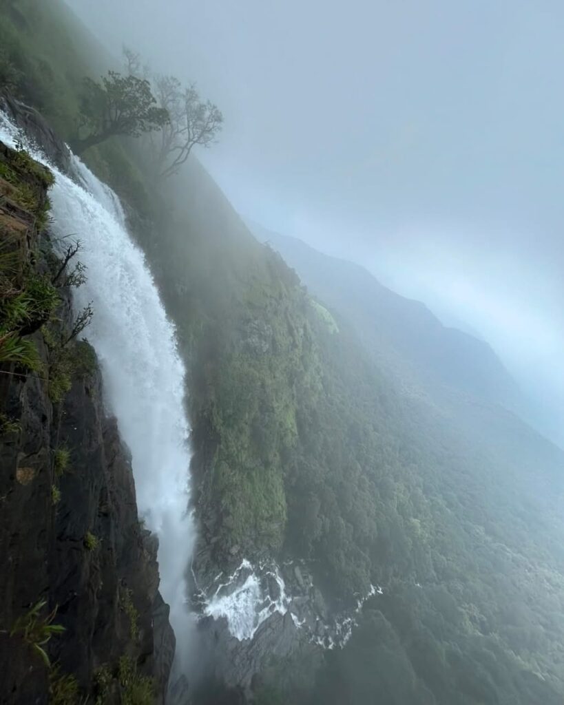bandaje fall