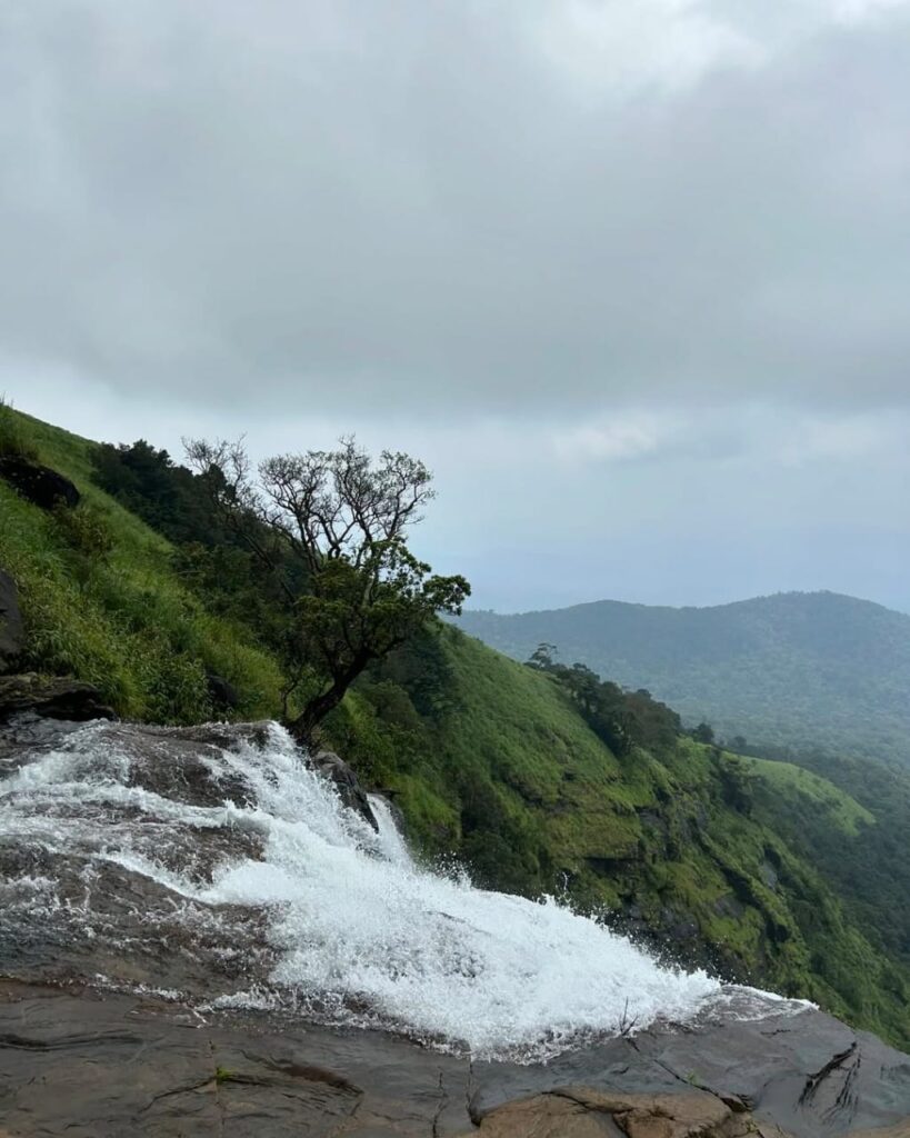 bandaje trek