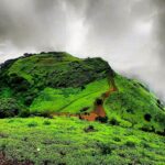 Kodachadri Trek