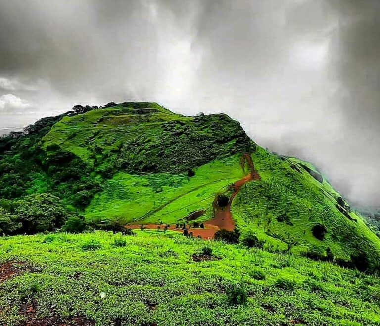 Kodachadri Trek