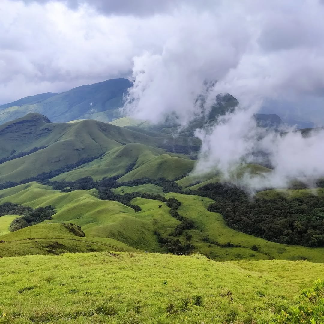 kuduremukha