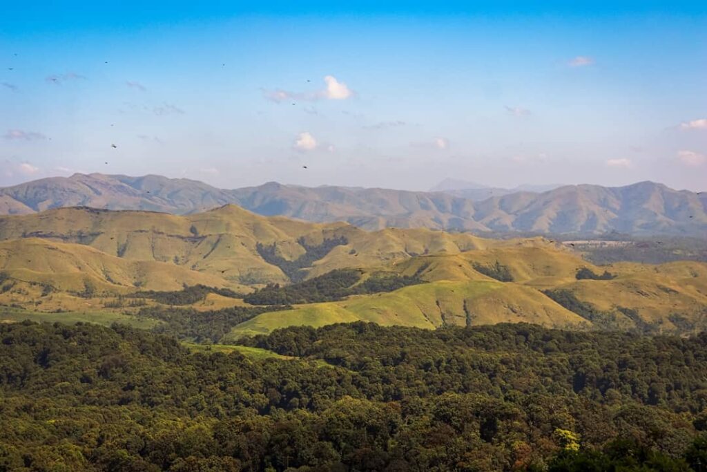 kurinjal peak