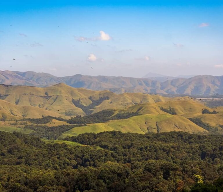 kurinjal peak