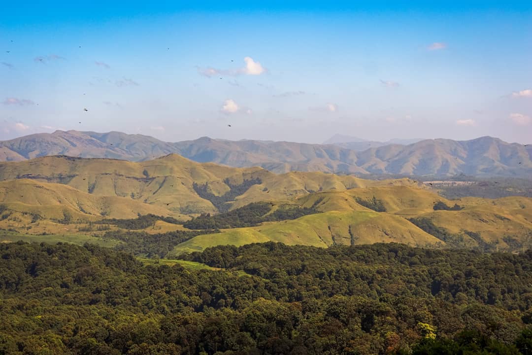 kurinjal peak