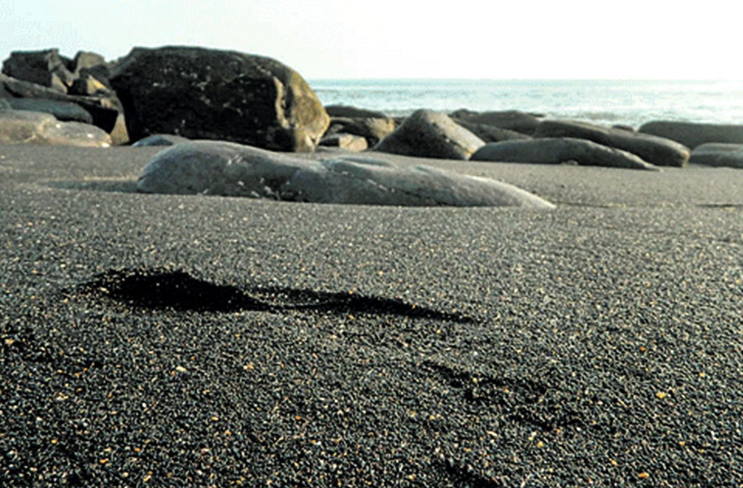 black sand beach