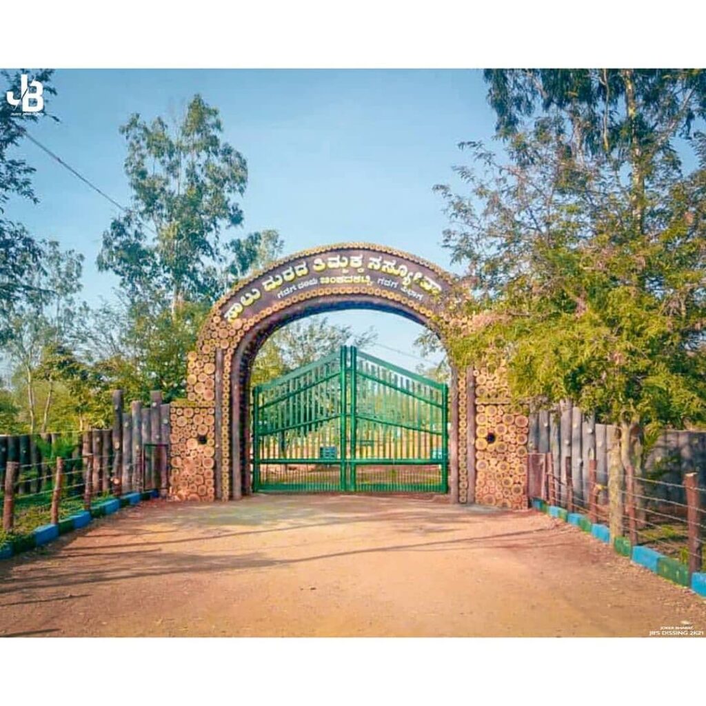 Saalumarada Thimmakka Park 