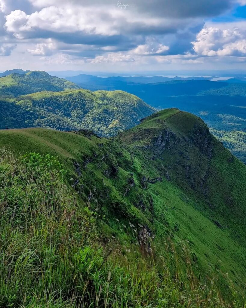 The Z Point Trek in Kemmangundi 