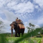 Sakrebyle Elephant Camp A Complete Travel Guide