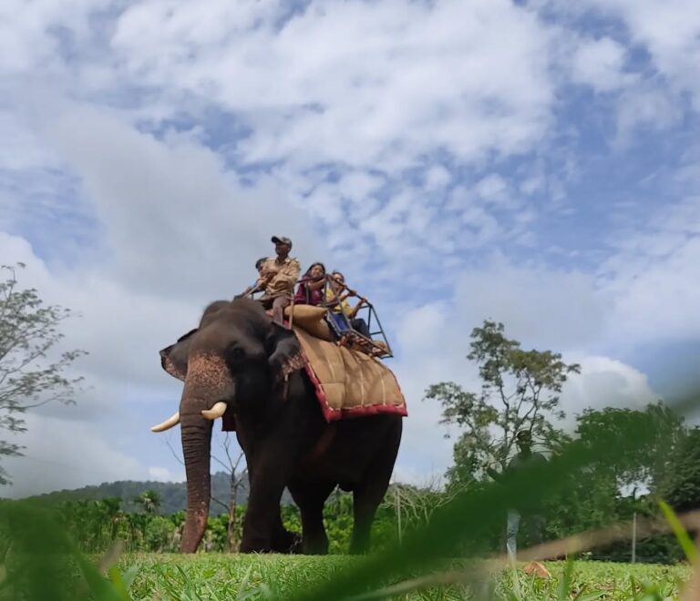 Sakrebyle Elephant Camp A Complete Travel Guide