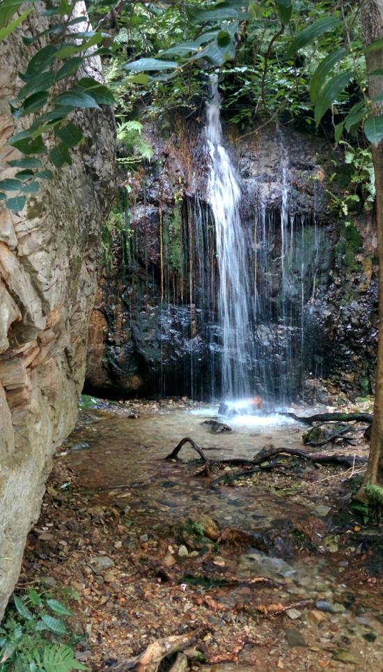 Parapaadi Arbi Falls, Parapaadi Arbi Falls Kasaragod, Arbi Falls Kerala, Parapaadi Arbi waterfalls, hidden waterfalls in Kerala, waterfalls in Kasaragod district, Parapaadi Arbi Falls distance, Parapaadi Arbi Falls location, Western Ghats waterfalls, offbeat waterfalls Kerala, monsoon waterfalls Kerala, trekking waterfalls Kerala, nature places in Kasaragod, unexplored waterfalls Kerala,
